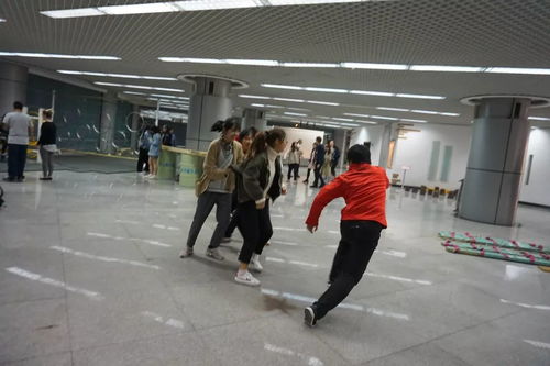 新西蘭風(fēng)情文化集市 跨越山海，邀您共赴一場(chǎng)藝術(shù)盛宴